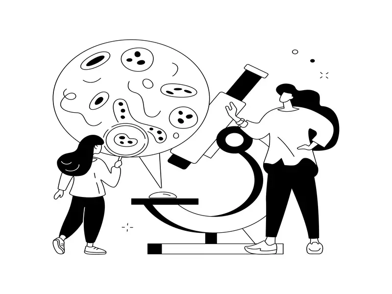 بهترین مشاور کنکور تجربی