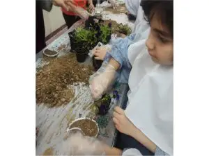 مدرسه غیردولتی دخترانه مهرمانا